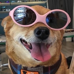 Sunglasses I want you to use and love versus in my closet collecting dust!